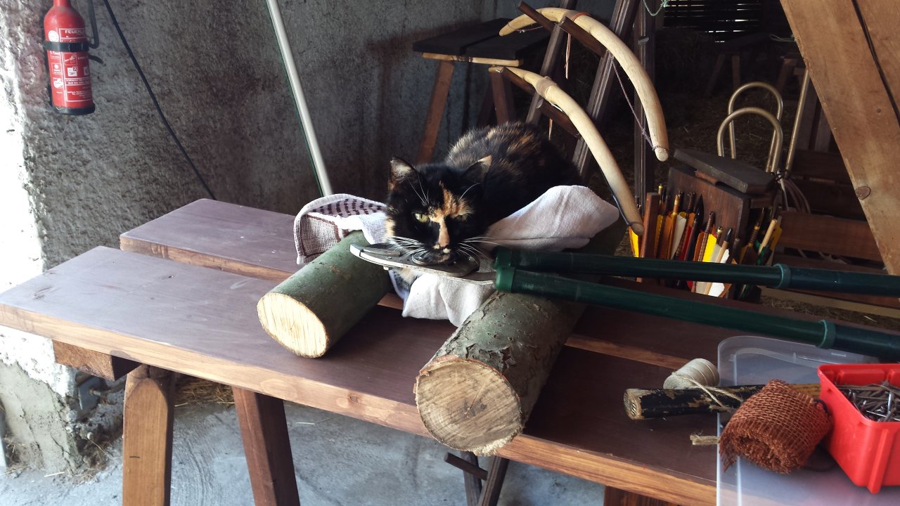 Mira hilft bei der Gartenarbeit