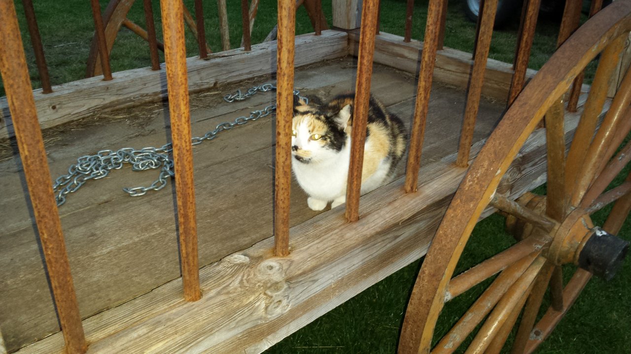 Sun hinter Gittern